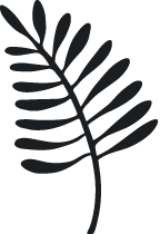 Natasha Denness | natashadenness.co.uk (alt text: logo)