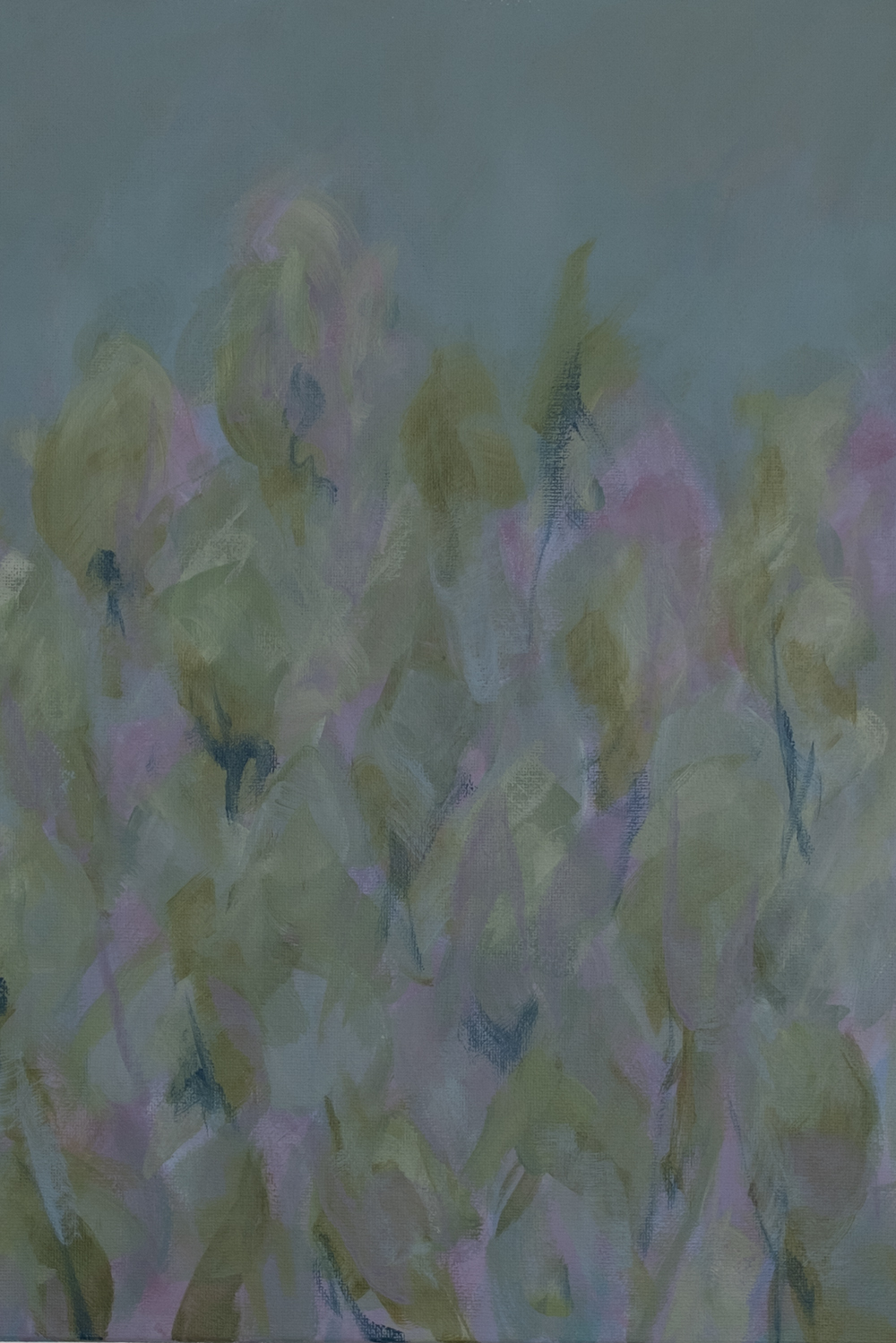 Glade detail © COPYRIGHT Natasha Denness