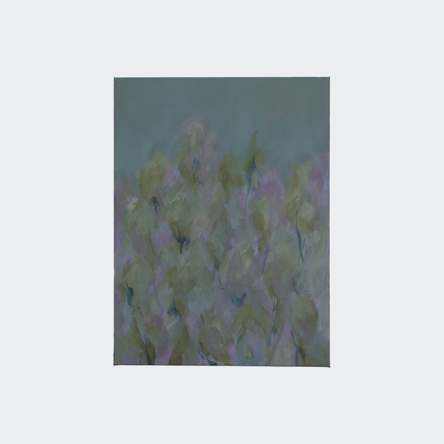 Glade © COPYRIGHT Natasha Denness